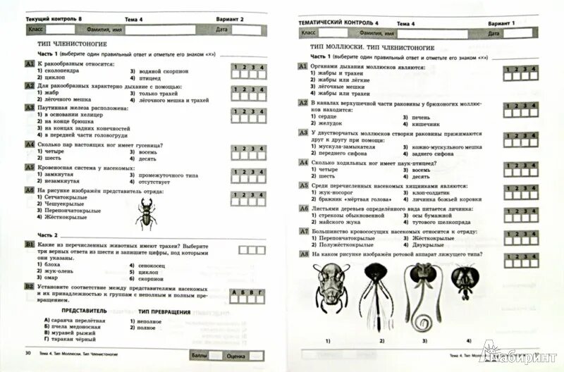 Тесты контроля знаний по классам. Биология Леонтьев 8 класс комплексная тетрадь для. Леонтьев биология 7 класс комплексная тетрадь для контроля знаний. Текущий контроль по биологии 7 класс.