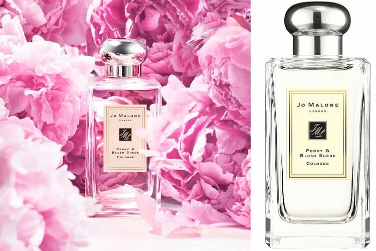 Jo malone peony blush. Джо малон пион. jo malone одеколон peony blush. jo malone peony blush suede.