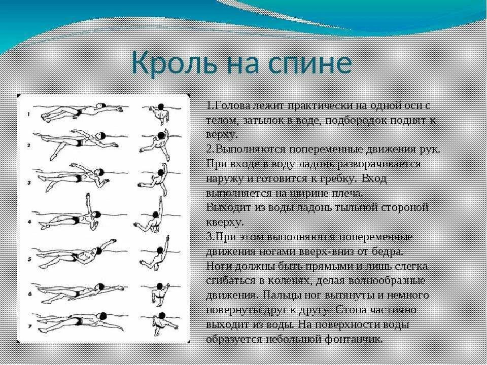 Плавание брассом и кролем. Брасс и Кроль техника плавания. Движение рук и ног в плавании кролем. Кроль техника плавания схема. Кроль на груди, Кроль на спине, брасс.