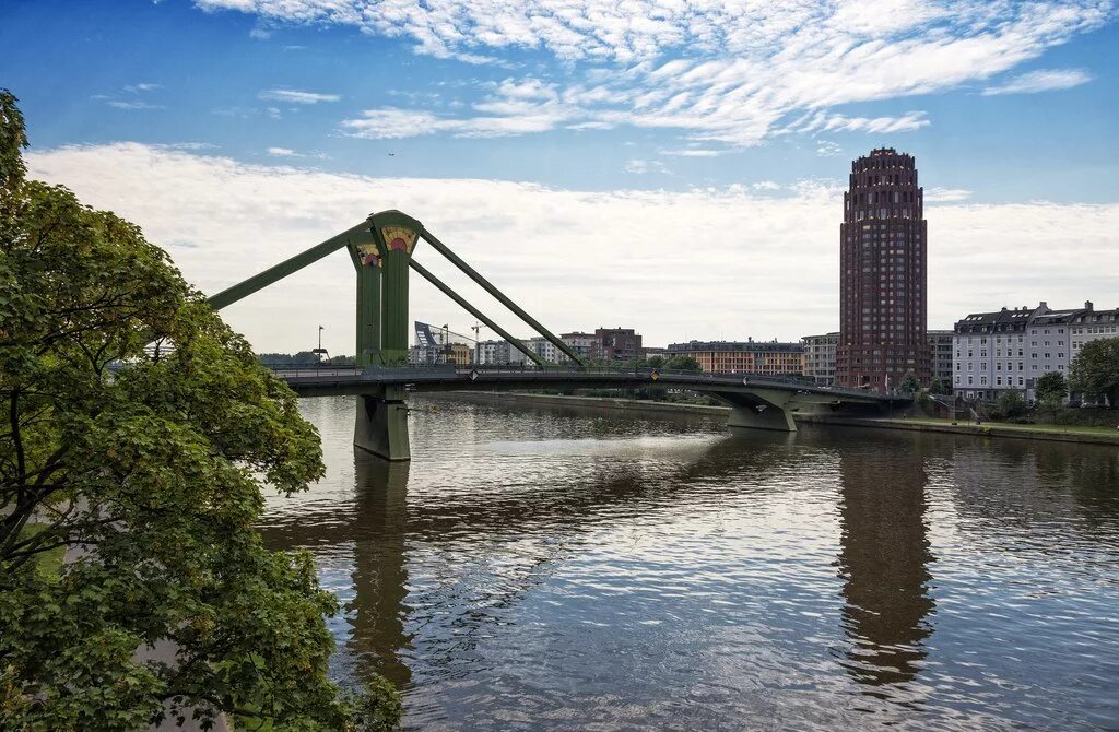 Майн река. Река майн Франкфурт. Река майн в Германии. Frankfurt City Forest Франкфурт-на-Майне. Франкфуртский лес.