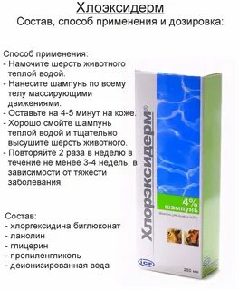 Хлорэксидерм шампунь для собак