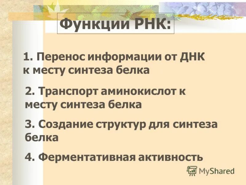 Какие функции выполняет рнк. Общая функция РНК. Функции РНК кратко. РНК строение и функции.