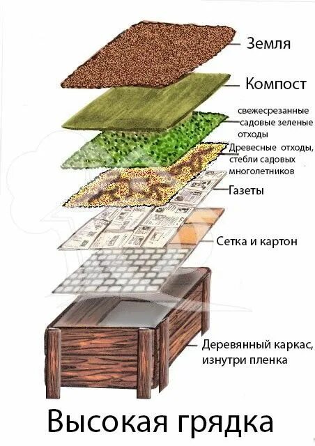 i.webp