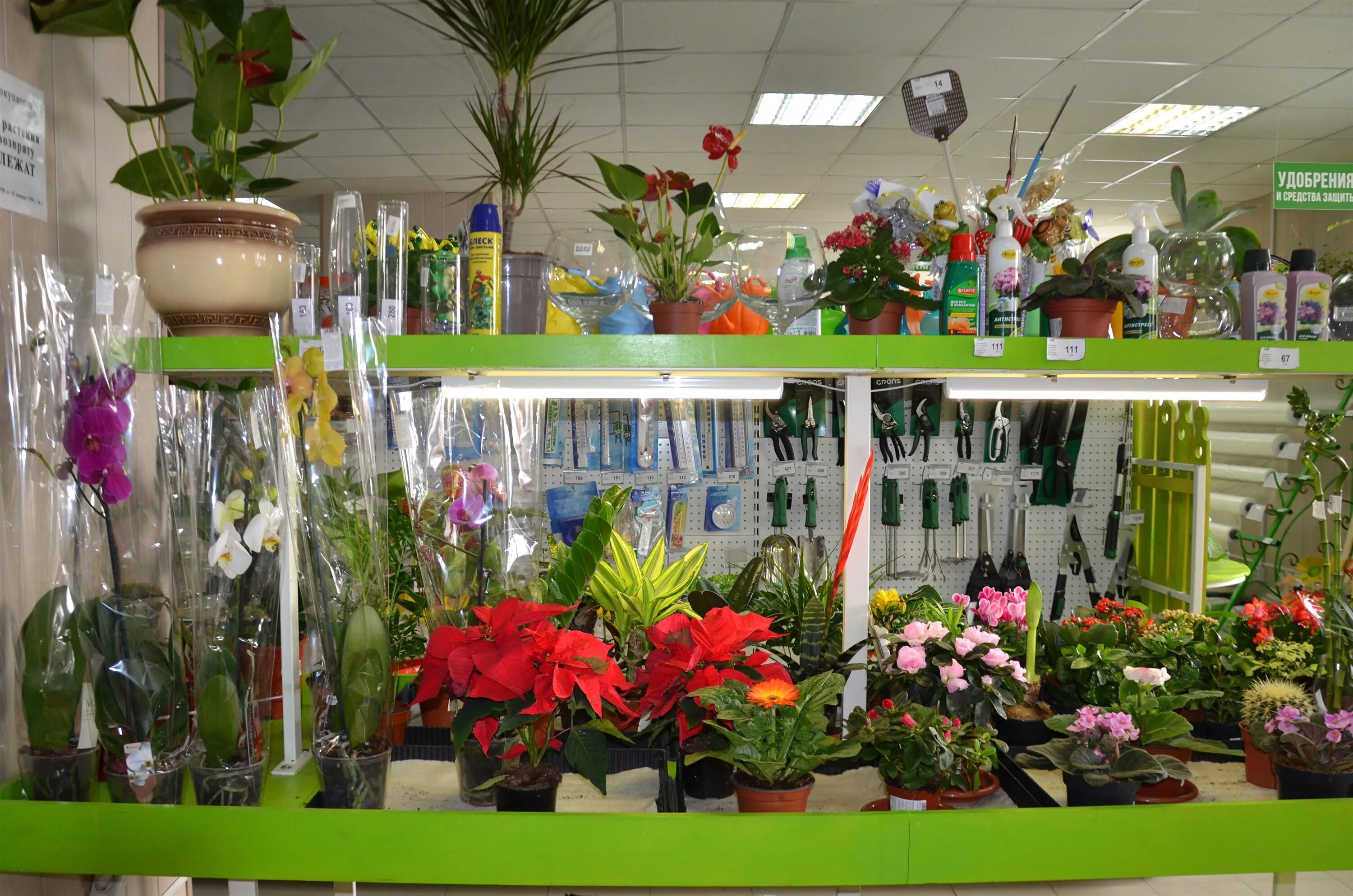 Дом цветов минск. Зелёный дом пенза рембыттехника. рембыттехника пенза цветочный. зелёный дом пенза рембыттехника каталог. зеленый дом аустрина.