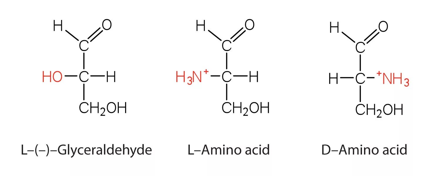 Симпли формула. Amino acids. L Amino acid. Amino acid Formula. Аминокислоты картинки для презентации.