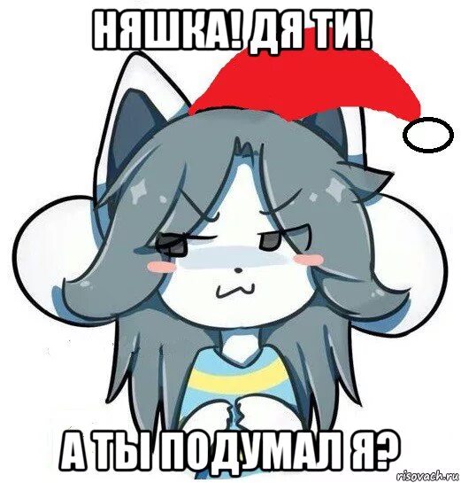 Temmie r63. мемы с няшками. няшка мем. няшки мемы. ты няшка.