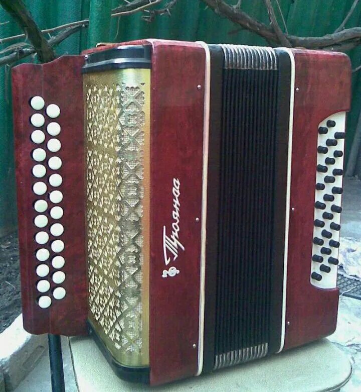 Гармонь «заказная» c44xli. Братья келины гармонисты мордовия. Гармошка fnx2500117. Гармонь башкирский музыкальный инструмент. Ищу гармонь.
