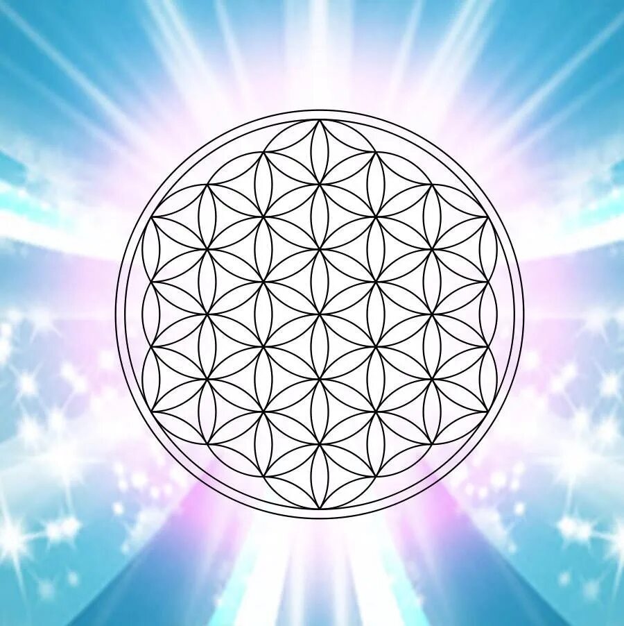 Цветок мельхиседека. Цветок жизни сакральное значение. Цветок жизнискаральная геометрия. Эзотерические символы. Мандалы света цветок жизни.