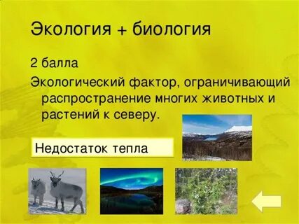 Экология биология окружающей среды