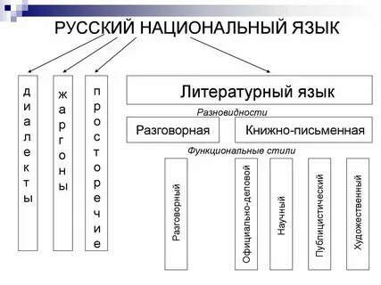 Назовите разновидности национального языка