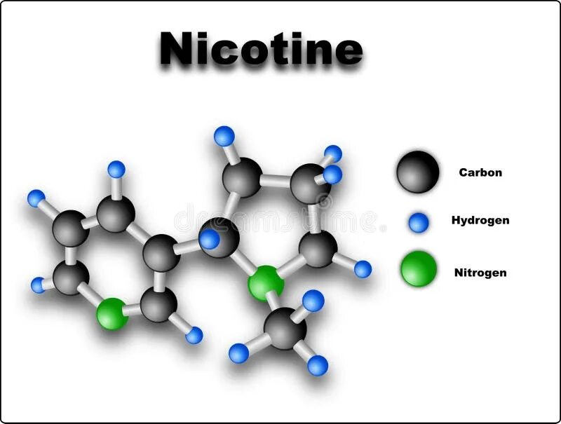 Никотин биохимия. Молекула никотина. Химическая структура никотина. Химическая формула никотина. Строение никотина.