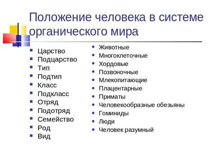 Место человека в системе видов
