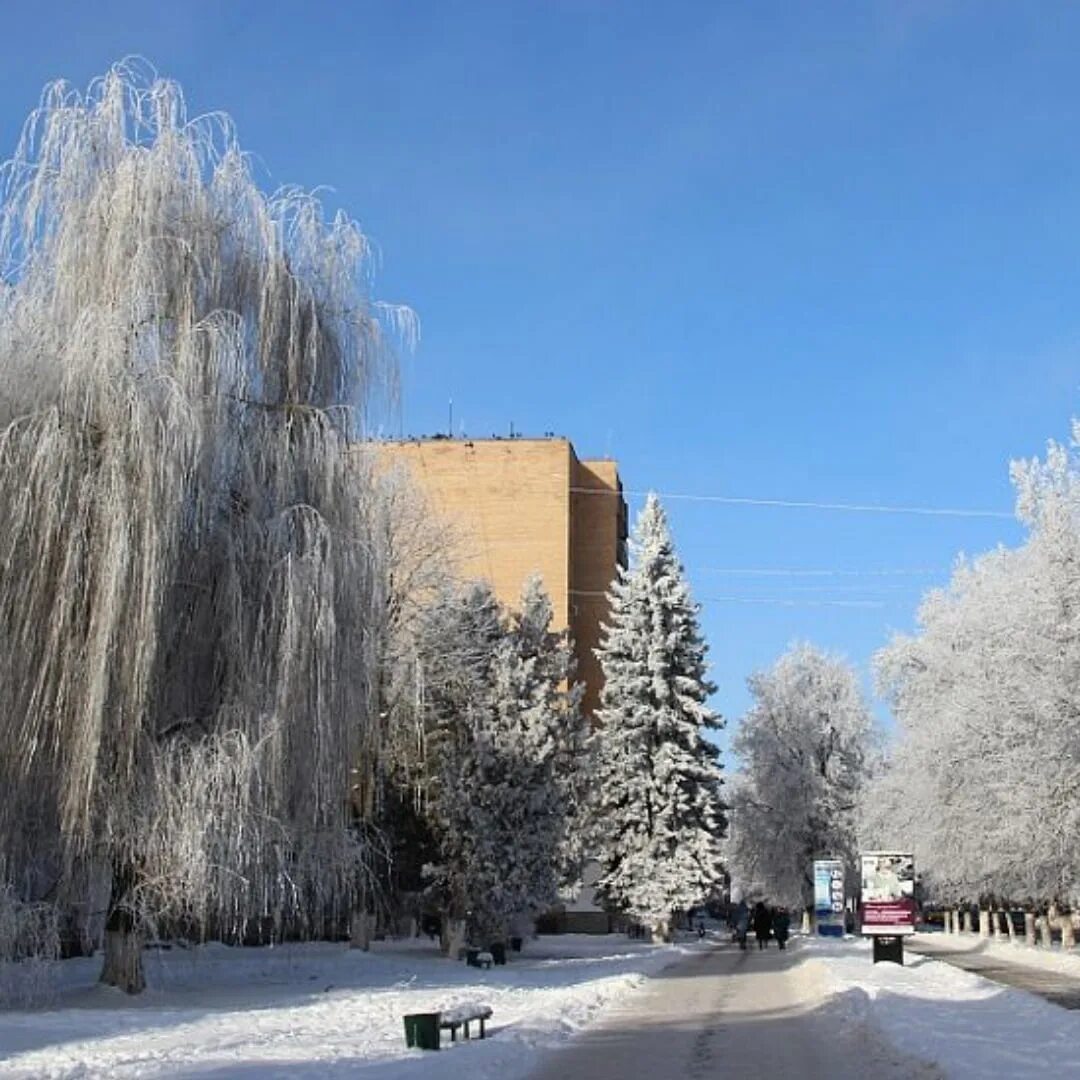 Железногорск красноярский край зима. Железногорск курская область. Железногорск курская область летом. Зима лето железногорск. Аллея семьи железногорск курская.
