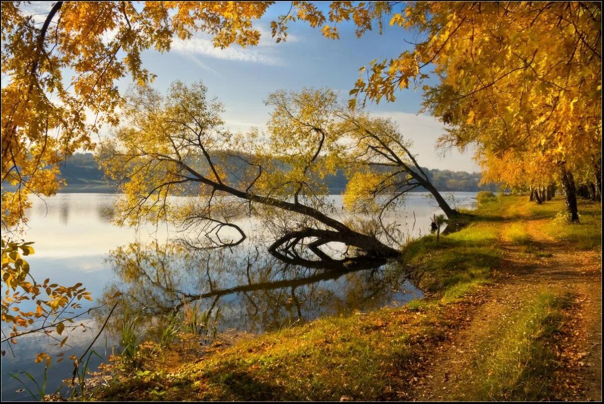 Осенний пейзаж. Золотая осень. Золотая осень пейзаж. Красивые пейзажи золотой осени.