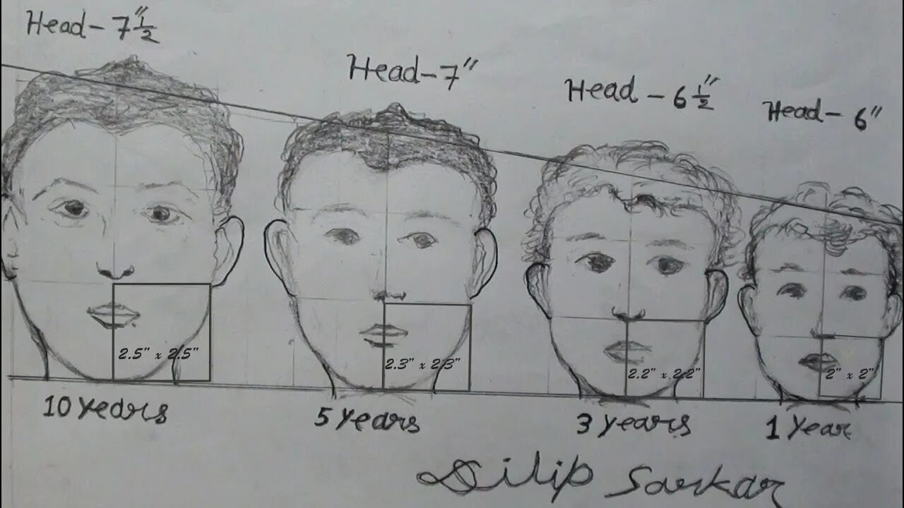 Head size script. Human head sizes. average human head size. kids head size. international head size.