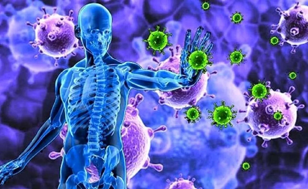 Инфекциями и т д. Иммуно защитная система организма. Иммунитет человека. Вирус в организме. Иммунология и человек.