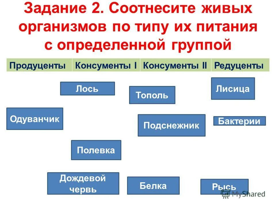 Соотнесите виды. Соотнесите живые организмы по типу их питания с определенной группой. Определите Тип питания организмов. Взаимосвязь организмов в сообществах. Распределение организмов по типу питания.