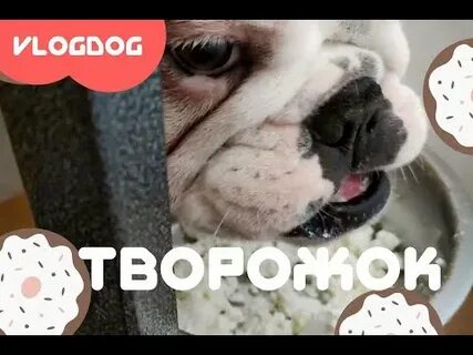 Кормил на английском