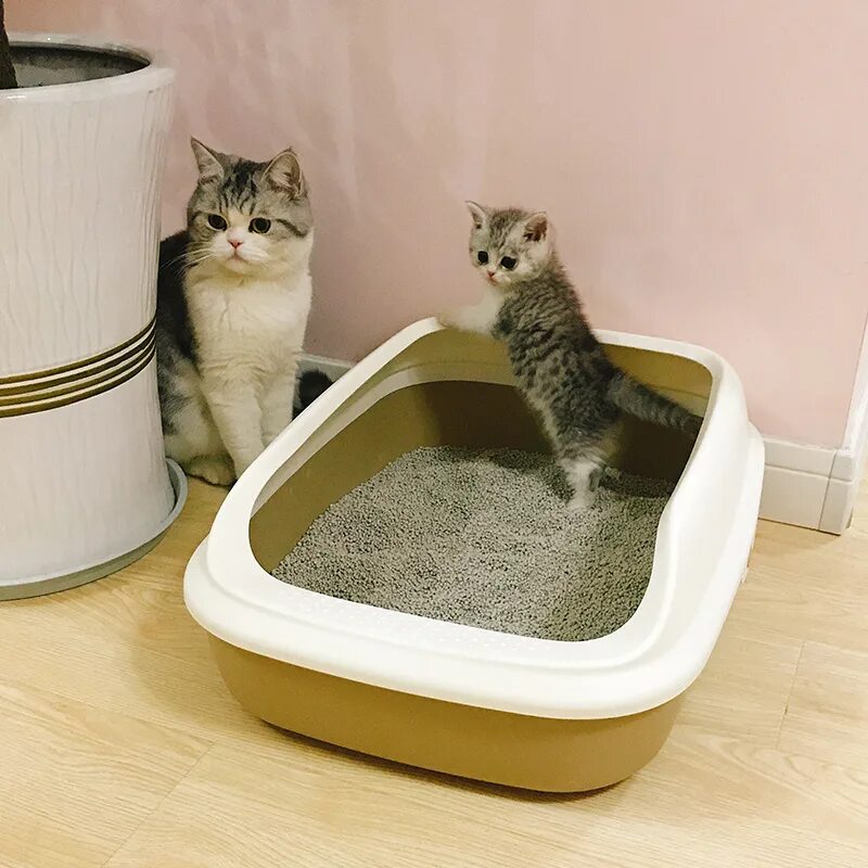 Какой кошачий туалет самый лучший. Лоток для кота. наполнитель для лотка для кошек. туалет для котиков. правильный лоток для кошки.