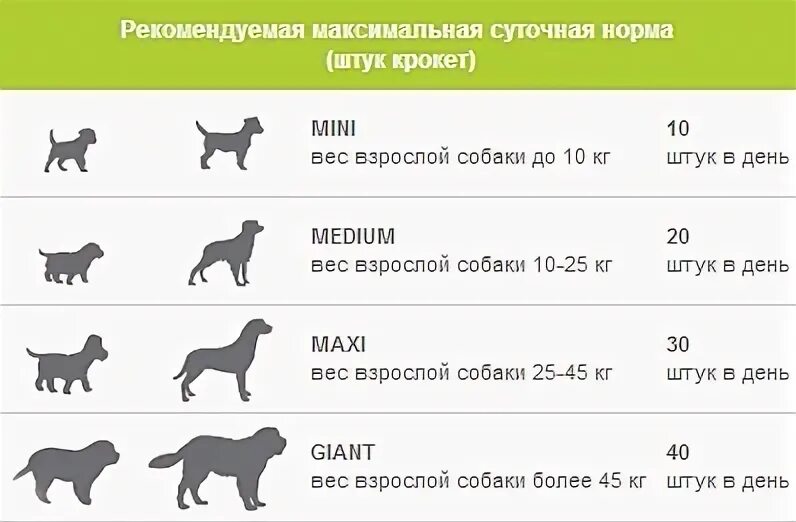 Корм для собак овчарка. Нормы кормления щенков до 6 месяцев. Средний вес собаки. Норма корма для собак. Норма веса собаки.