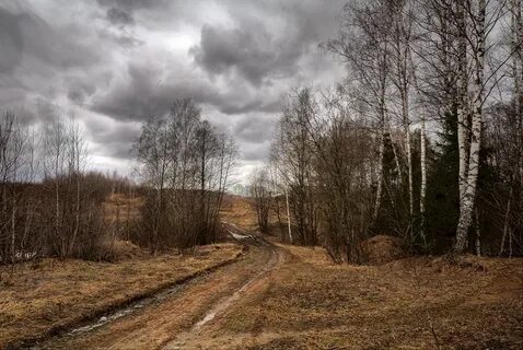 Пасмурный день фото