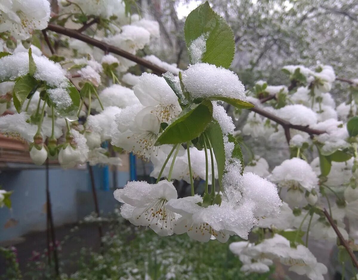 Весенние встречи