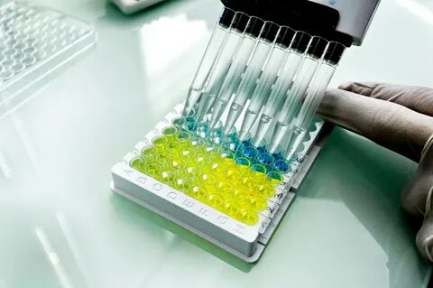 Реагенты in vitro