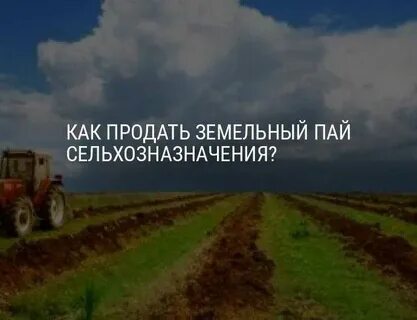 За сколько можно продать паи