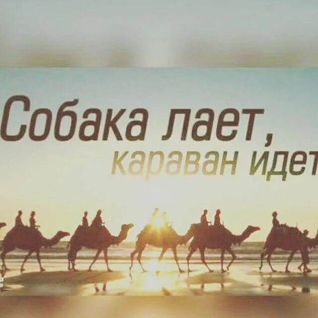 Выражение караван идет. Собаки лают караван идет. сабаки лаят корован мдкт. собаа лаетаорован итет. сабаки лаию каравани идт.