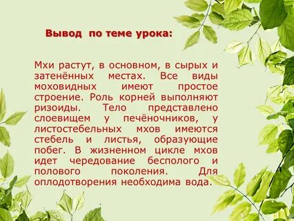 Вывод строения мха