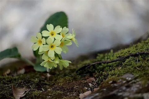 Spring relax