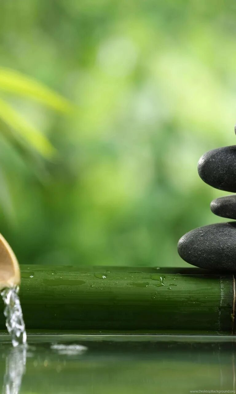 Zen день. Камни дзен. Камушки дзен. Дезен. Дзен умиротворение.