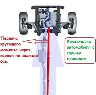 Задняя плюс