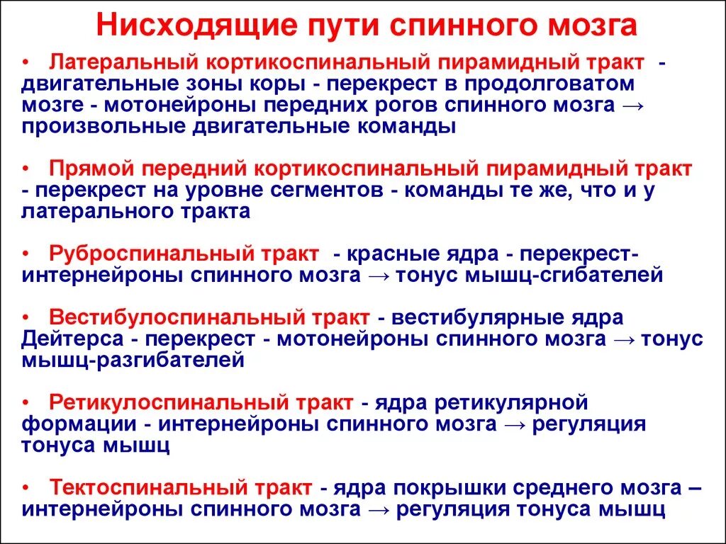 Низойдет значение слова. Проводящие пути спинного мозга восходящие и нисходящие. Основные проводящие пути спинного мозга. Перечислите нисходящие проводящие пути спинного мозга.. Проводящие пути спинного мозга таблица.