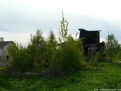 Селиваново ленинградская область