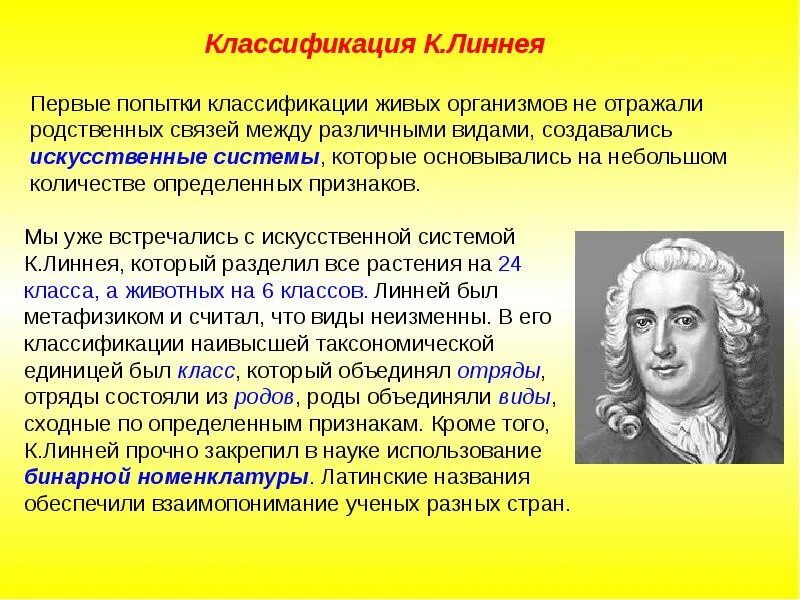 Первая классификация организмов создал. Классификация линнея. Первая классификация организмов создал. Первая классификация организмов создал. Первые ученые систематики.