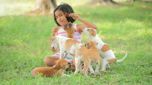 Girl feeding girl. Девушка кормит собаку фотосессия. Девочка кормит куриц красивые фото. Женщины вскармливают животных. Печенье для мамы.