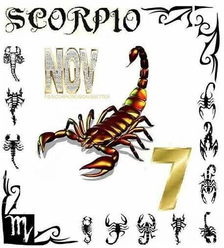 скорпион зодиак. знак скорпиона по гороскопу. скорпион знак зодиака характеристика. скорпион зодиак. скорпион знак зодиака характеристика.