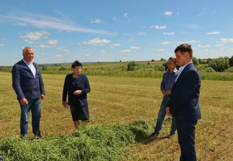 Агрофирма волга. Директор сельхозпредприятия вакансии. Ао агрофирма ольдеевская. Племзавод трудовой павловка. Агрофирма ольдеевская хыркасы.
