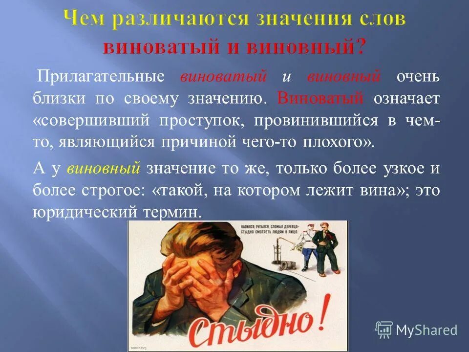 Что значит виноват