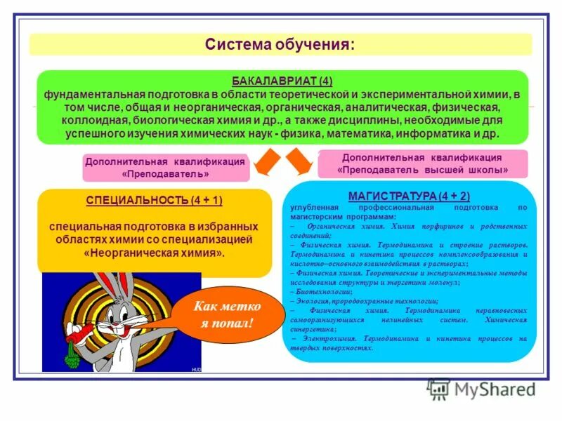 навыки при поступлении в магистратуру. модель развития профессиональных компетенций. система подготовки бакалавров. система подготовки бакалавров. схема подготовки бакалавров.