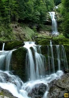 Бесплатные фото самой