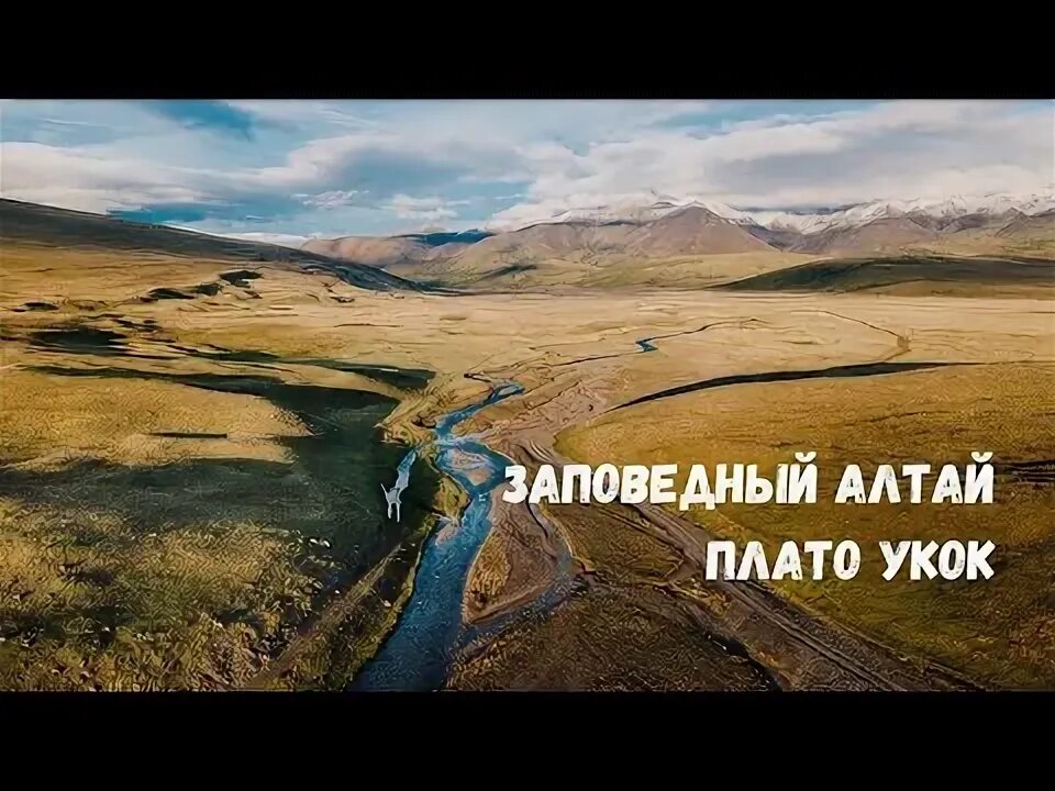 Плато укок горный алтай фото Укок фото
