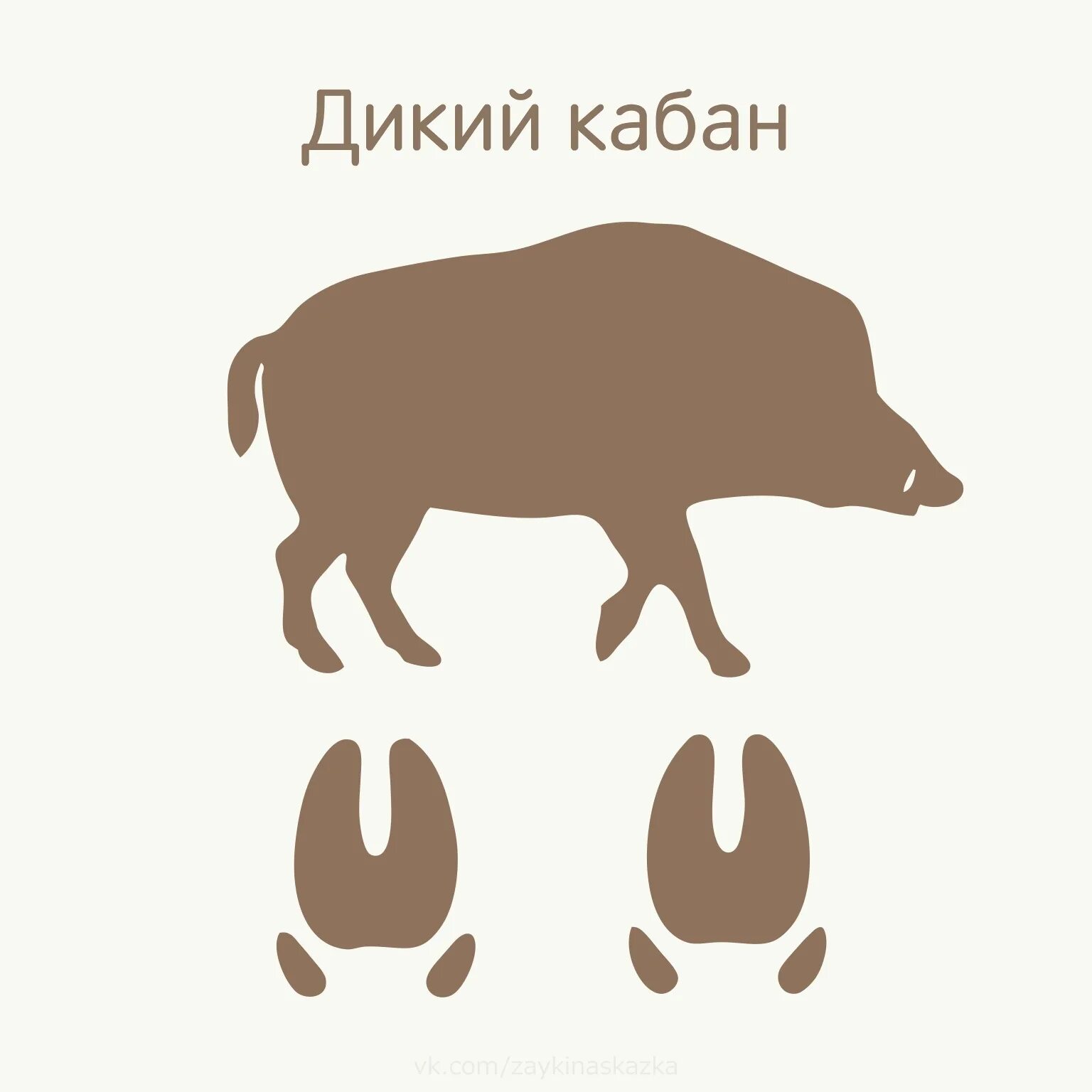 след кабана притяжательное прилагательное. примеры притяжательных прилагательных 6 класс.