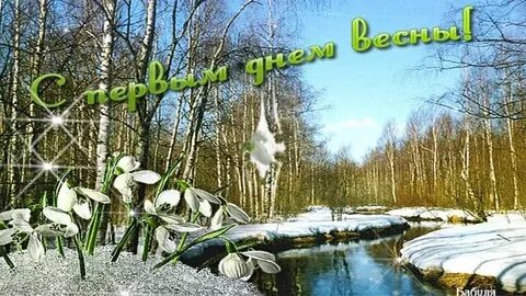 Тик ток открытки с весной