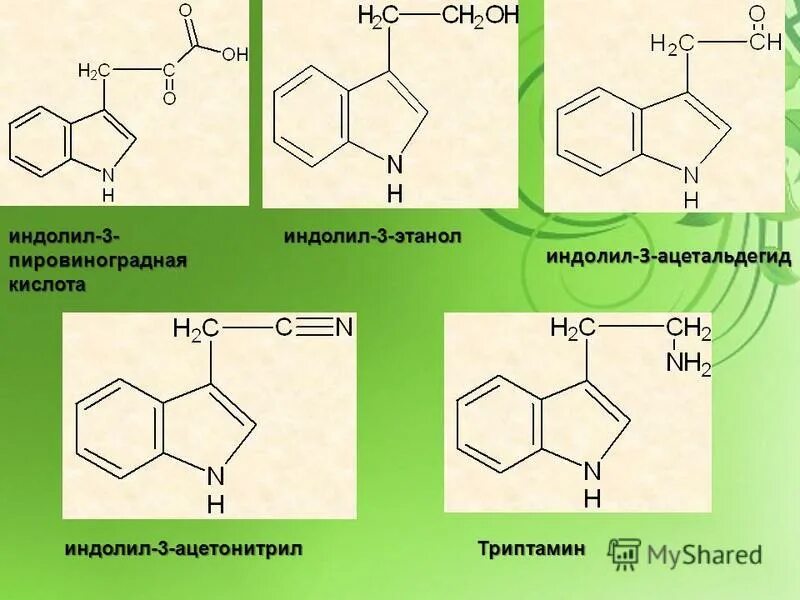 индолил. индол 3 уксусная кислота формула. индолил-3-масляная кислота формула. бета индолилуксусная кислота формула. триптофан в аланин.