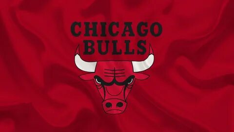 Chicago bulls