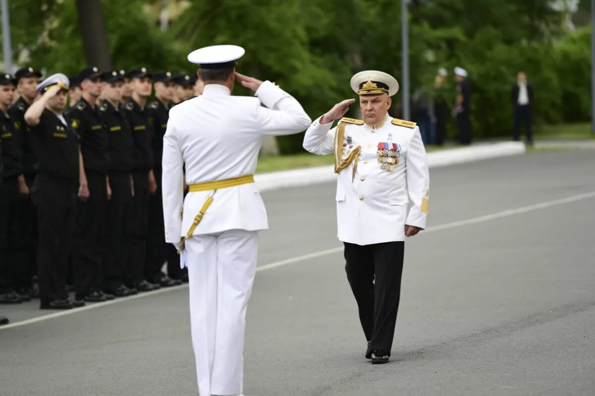 Парадная жена. Белая форма вмф мичмана. парадная форма вмф тоф. парадная форма мичмана вмф 2025. парадная форма офицеров вмф 2018.