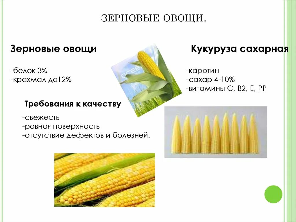 Злаковым является. Зерновые овощи список. Злаковые овощи. Группы овощей злаковые. Злаковые кукуруза.