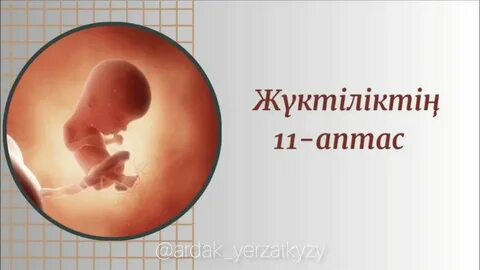 Жүктіліктің 21 аптасында іш
